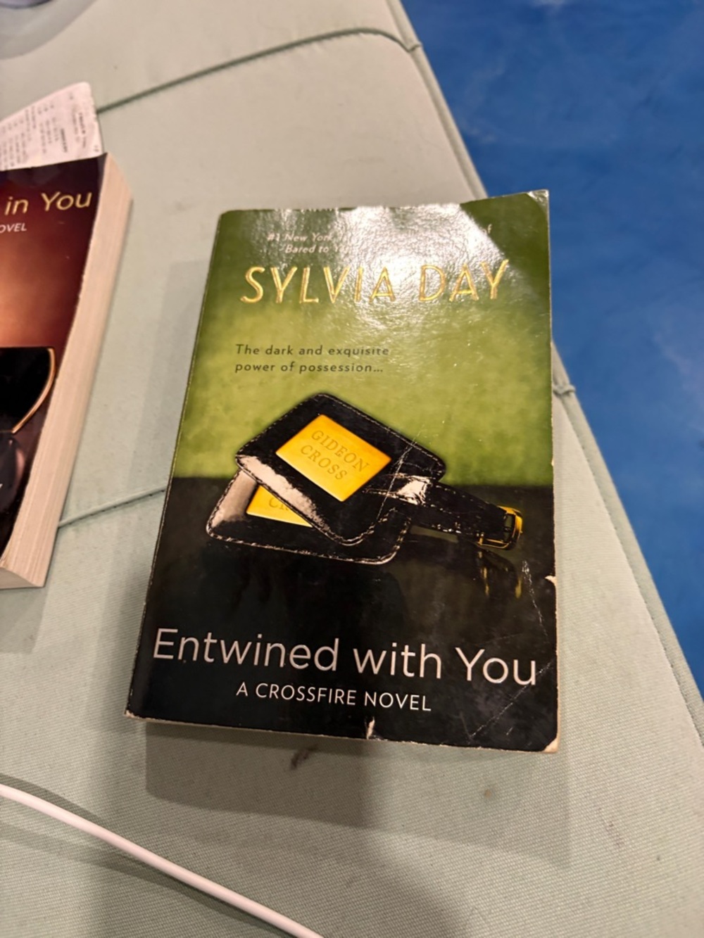 Entwined with You by - Green Cover Hardcover - Picture 6 of 9